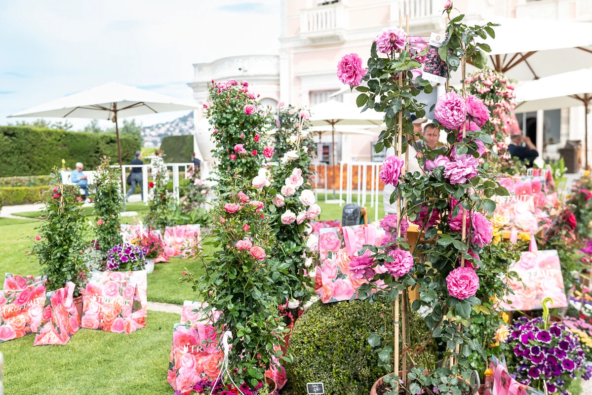 Fête des Roses à la Villa Ephrussi de Rothschild - Photographe Loic Bisoli